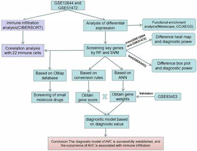 Development and analysis of a comprehensive diagnostic model for aortic valve calcification using machine learning methods and artificial neural networks